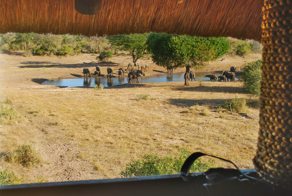 leukste safari zuid afrika